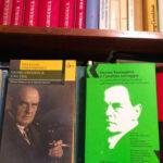 34^ Lettera del Libro dell’Es di Georg Groddeck