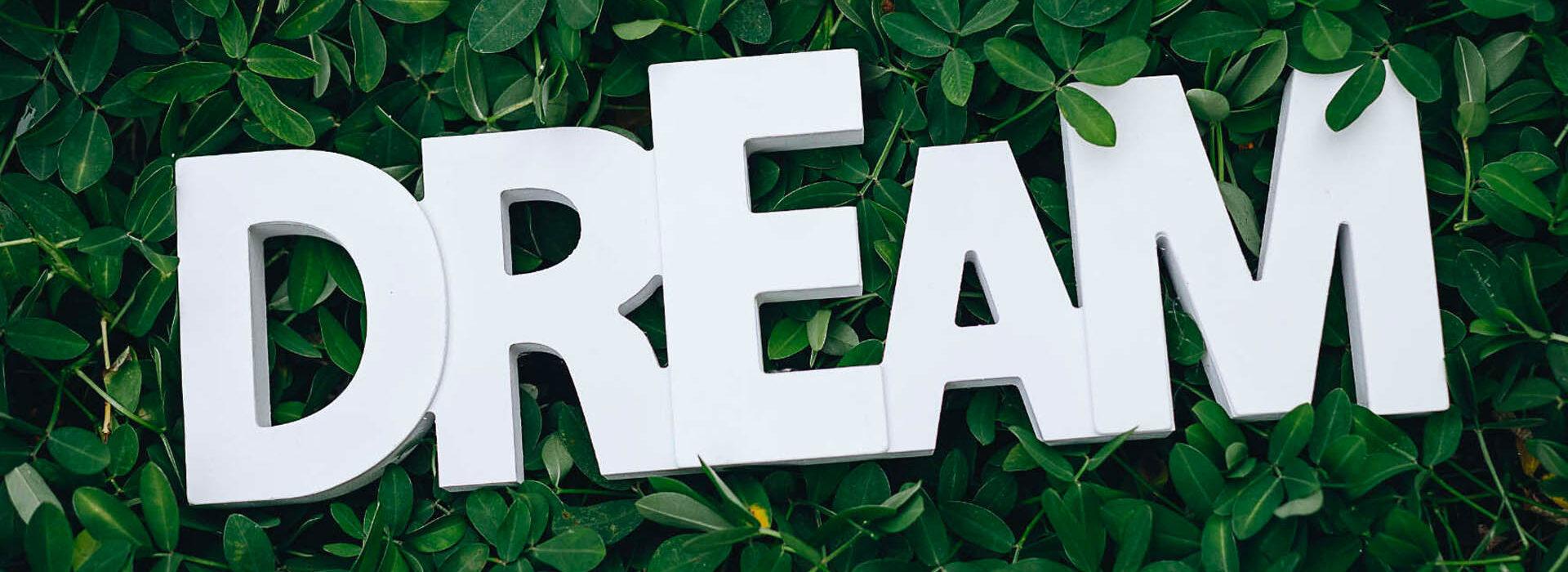 Social Dreaming al Teatro dell'Attrito - 13 e 14 maggio 2023